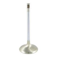 (image for) Extreme-Duty Tulip Intake Valve