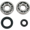 (image for) Crank Bearing and Seal Kit - HONDA CR250R 92-07