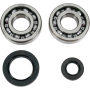 (image for) Crank Bearing and Seal Kit - HONDA CR250R 92-07