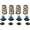 (image for) COMP Cams Beehive Valve Spring Kit 0926-2900