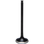 (image for) Black Diamond Intake Valve