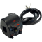 (image for) Left side switch assembly with clutch perch and mirror mount