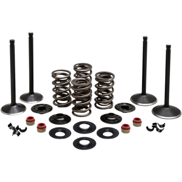 (image for) Black Diamond Engine Valve Kit for Twin Cam