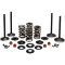 (image for) Black Diamond Engine Valve Kit for Twin Cam