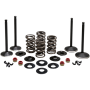 (image for) Black Diamond Engine Valve Kit for Twin Cam