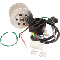 (image for) Lithium-Ion Friendly Charging Kit for Honda CL450 70-74