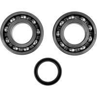 (image for) Crank Bearing and Seal Kit - SUZUKI RM-Z250 04-06