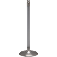 (image for) White Diamond Exhaust Valve