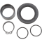 (image for) Countershaft Seal Kit 0935-0443