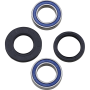 (image for) Front Wheel Bearing and Seal Kit