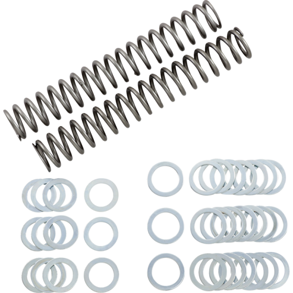 (image for) Race Tech Fork Spring 0405-0143