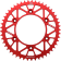 (image for) JT Sprockets Rear Sprocket - 49T