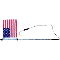 (image for) Brite-Lites Color Changing LED Whip