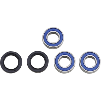 (image for) Rear Wheel Bearings and Seal Kit