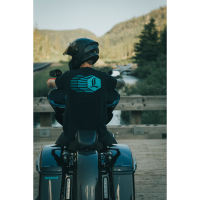 (image for) Billet Remote Reservoir External Mounts - Black