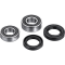 (image for) Factory Links OEM Series Rear Wheel Bearing Kit 0215-1227