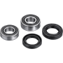 (image for) Factory Links OEM Series Rear Wheel Bearing Kit 0215-1227
