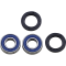(image for) Front Wheel Bearings and Seal Kit