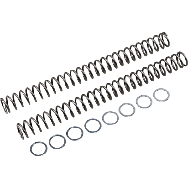 (image for) Race Tech Fork Spring 0405-1043