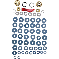 (image for) Race Tech Gold Valve Fork Kit