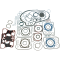 (image for) Complete Gasket Set DS-181178