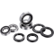 (image for) Factory Links OEM Series Front/Rear Wheel Bearing Kit - Triumph TF 450-C/E/RC/X 25-26