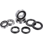 (image for) Factory Links OEM Series Front/Rear Wheel Bearing Kit - Triumph TF 450-C/E/RC/X 25-26