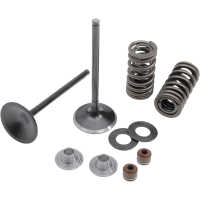 (image for) Stainless Steel Conversion Valve and Spring Kit - Intake