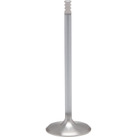 (image for) White Diamond EV8 Intake Valve +1mm