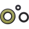 (image for) Engine Oil Seal Kit for Yamaha Venture 700 04