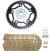 (image for) Vortex OES Steel Chain Kit (Gold) for BMW S1000RR 20-23