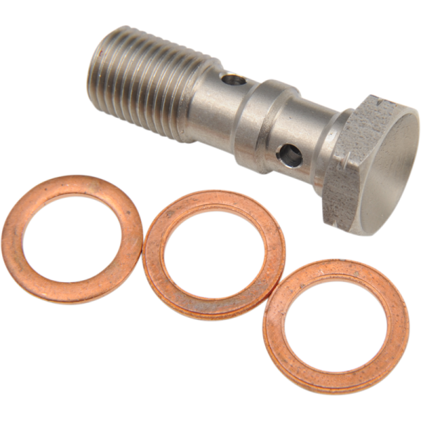 (image for) Goodridge Double Banjo Bolt for BMW, Ducati, Suzuki, 10 mm x 1.0, Stainless Steel