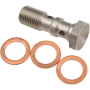 (image for) Goodridge Double 10 mm x 1.0 Banjo Bolt