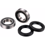 (image for) Front Wheel Bearing Kit - SUZUKI