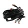(image for) Two light high-power harness (HP2)