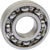 (image for) Counterbalance Shaft Bearing Left