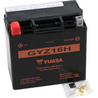 (image for) Yuasa High-Performance Factory-Activated AGM Maintenance-Free Battery for BMW K1600GT/GTL 18