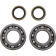 (image for) Crank Bearing and Seal Kit - BETA EVO 300 Factory 2T 22-23