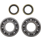 (image for) Crank Bearing and Seal Kit - BETA EVO 300 Factory 2T 22-23