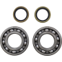 (image for) Crank Bearing and Seal Kit - BETA EVO 300 Factory 2T 22-23