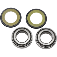 (image for) Steering Stem Bearing Kit 22-1024