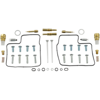 (image for) Carburetor Repair Kit