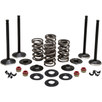 (image for) Black Diamond Engine Valve Kit for XL