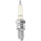 (image for) NGK Standard Spark Plug D8EA