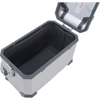 (image for) Protective Inlay