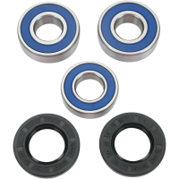 (image for) Rear Wheel Bearing and Seal Kit