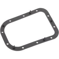 (image for) Fuel Pump Door Seal 0701-0732