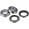 (image for) Rear Wheel Bearing Kit - GASGAS