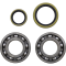 (image for) Crank Bearing and Seal Kit - BETA EVO 300 4T Factory 22-23