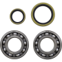 (image for) Crank Bearing and Seal Kit - BETA EVO 300 4T Factory 22-23